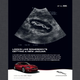 Illustration for article titled Jaguar Ads Are A Gallery For Fine Cars
